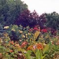 Rosengarten 2002