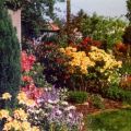 Rhododendrongarten: "im Reich der Farben"