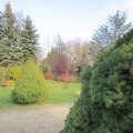 Garten-Herbstgesicht_IMG_2965