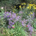 spätsommerliche Eindrücke_IMG_2514