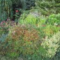 Kunden-Hochbeet_IMG_2527