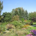 herbstlicher Bauerngarten_IMG_2578_1