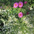 oben? unten?_IMG_2592
