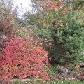 IMG_2886