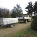 Zugpferd II_IMG_1783