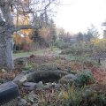 herbstliche Gartenzene_IMG_3003