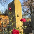 rosige SÃ¤ule_IMG_3009
